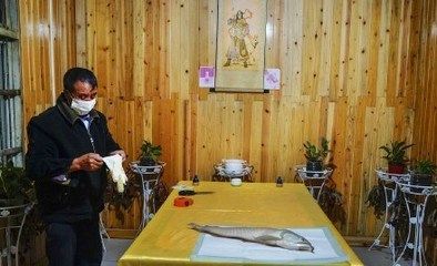 貴陽金龍魚總代理是誰：貴陽金龍魚貴陽總代理 龍魚百科 第5張