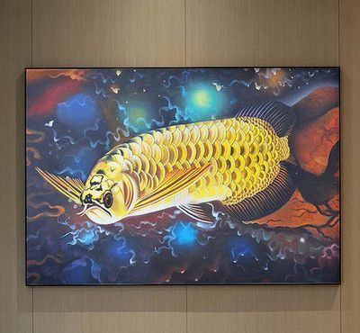 金龍魚外觀描寫句子：金龍魚與錦鯉的區(qū)別：金龍魚與錦鯉的區(qū)別,金龍魚與錦鯉的區(qū)別 龍魚百科 第1張