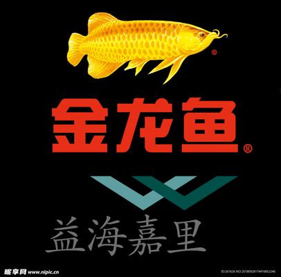 金龍魚logo矢量圖：金龍魚logo矢量圖制作過程分析金龍魚logo矢量圖 龍魚百科 第2張