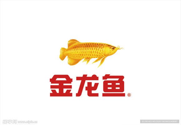 金龍魚logo矢量圖：金龍魚logo矢量圖制作過程分析金龍魚logo矢量圖 龍魚百科 第5張