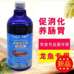 龍魚用什么藥物調(diào)理腸胃：治療龍魚腸胃病的有效藥物 龍魚百科 第1張