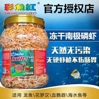 龍魚用什么藥物調(diào)理腸胃：治療龍魚腸胃病的有效藥物 龍魚百科 第4張