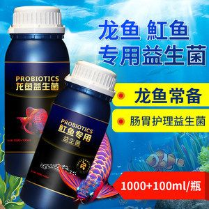 龍魚用什么藥物調(diào)理腸胃：治療龍魚腸胃病的有效藥物 龍魚百科 第2張