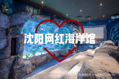 龍魚和虎魚怎樣搭配：關(guān)于龍魚和虎魚的問題 水族問答