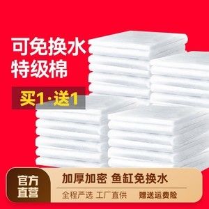 金龍魚用什么過濾材料：養(yǎng)金龍魚時選擇合適的過濾材料對于維持良好水質(zhì)至關重要 龍魚百科 第5張