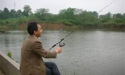 龍魚(yú)黑眼珠沒(méi)了怎么回事：為什么龍魚(yú)的眼珠突然變得無(wú)光，失去了往日的光澤？ 水族問(wèn)答 第1張