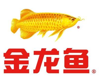 金龍魚 logo：金龍魚logo是品牌的象征 龍魚百科 第4張