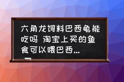 六角龍魚(yú)食：六角龍魚(yú)在不同成長(zhǎng)階段的飲食情況 龍魚(yú)百科 第4張