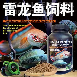 龍魚虎魚喂食時間表：如何確定龍魚和虎魚的喂食時間 水族問答 第2張