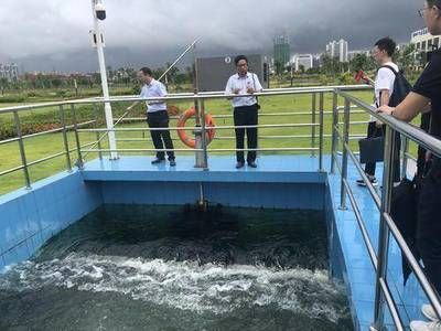 龍魚(yú)換了水之后不吃東西會(huì)死嗎：龍魚(yú)在換水后若長(zhǎng)時(shí)間不進(jìn)食可能導(dǎo)致死亡 水族問(wèn)答 第2張