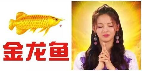 龍魚怎么辨別好壞圖解：如何辨別龍魚好壞 龍魚百科