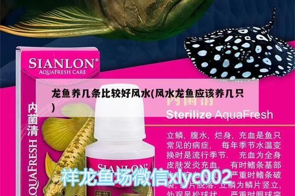 龍魚換水用純凈水可以嗎：龍魚換水使用純凈水可以嗎 水族問答 第2張