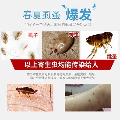 如何預(yù)防雷龍魚感染寄生蟲：如何有效預(yù)防雷龍魚感染寄生蟲 龍魚百科 第4張