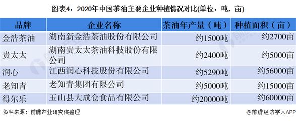 金龍魚知識青年多少錢：金龍魚品鑒標(biāo)準(zhǔn)介紹金龍魚市場價格趨勢如何挑選優(yōu)質(zhì)金龍魚 龍魚百科 第5張