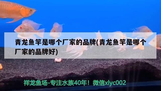 青龍魚竿是哪個廠家的好用：青龍魚竿與其他品牌對比