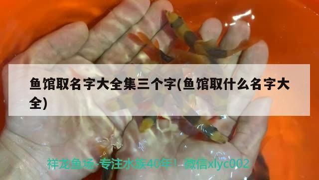 龍魚組合三個字的名字有哪些呢女孩：龍魚組合是一支由三位成員組成的音樂組合 龍魚百科 第1張