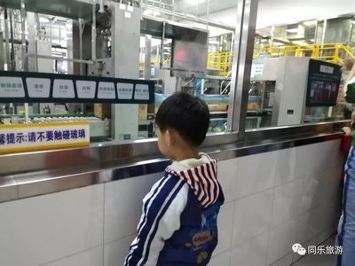 深圳金龍魚工廠地址在哪里：深圳金龍魚工廠 龍魚百科 第5張