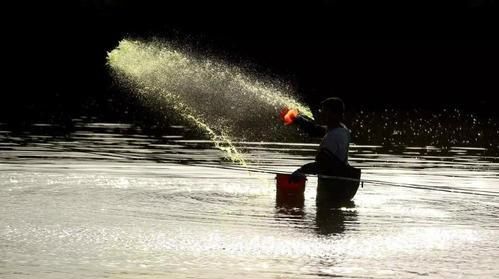 龍魚經(jīng)常在水面游動怎么辦：龍魚常在水面游動怎么辦 水族問答 第2張