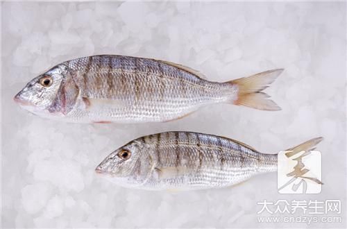 龍魚漲肚子怎么治療vs祥龍魚場：如何預(yù)防龍魚疾病 vs祥龍魚場 第1張