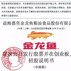 金龍魚案例：金龍魚案例分析 龍魚百科 第2張