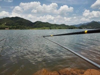 龍魚(yú)哪里有釣魚(yú)的地方呀：龍魚(yú)釣魚(yú)最佳季節(jié) 龍魚(yú)百科 第1張