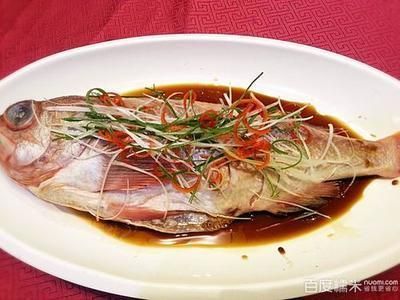 龍魚(yú)可以喂魚(yú)肉嗎：為什么龍魚(yú)可以喂魚(yú)肉？ 水族問(wèn)答 第2張