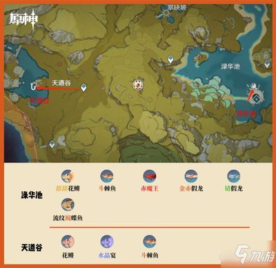 龍魚哪里釣原神：《原神》中釣龍魚的方法介紹 龍魚百科 第4張