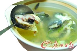 龍魚可以養(yǎng)兩只嗎：龍魚可以同時(shí)養(yǎng)兩只嗎，龍魚可以同時(shí)飼養(yǎng)兩只嗎 水族問答 第1張