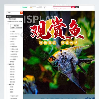 龍魚(yú)可以長(zhǎng)期喂飼料嗎：關(guān)于龍魚(yú)的問(wèn)題 水族問(wèn)答 第2張