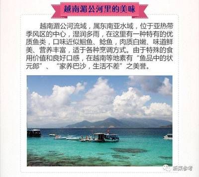 龍魚是巴沙魚嗎怎么養(yǎng)：巴沙魚與龍魚的區(qū)別 龍魚百科 第1張