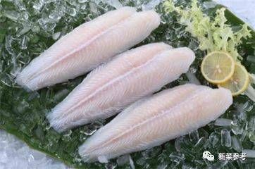 龍魚是巴沙魚嗎怎么養(yǎng)：巴沙魚與龍魚的區(qū)別 龍魚百科 第4張