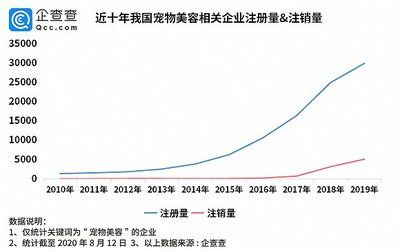 龍魚價格表今天：今天龍魚的價格表 龍魚百科 第3張