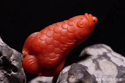 紅色金龍魚寓意：紅色金龍魚在中國(guó)文化中代表著繁榮、吉祥和財(cái)富的寓意 龍魚百科 第1張