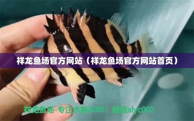 龍魚批發(fā)祥龍漁場：祥龍漁場龍魚品種介紹