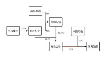 金龍魚集團(tuán)的大股東：金龍魚集團(tuán)大股東介紹 龍魚百科 第5張