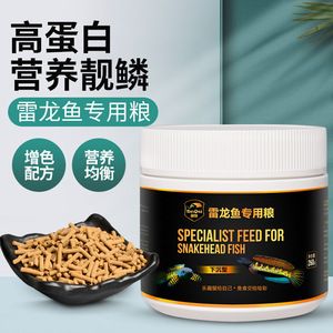 雷龍魚飼料配方大全視頻：雷龍魚的飼料配方大全 龍魚百科 第3張