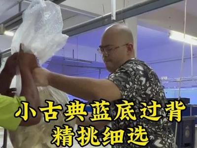 龍魚鱗片爛了一塊怎么回事：如何判斷龍魚鱗片的嚴重性？ 水族問答 第2張