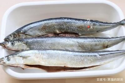 龍魚鱗片有血絲怎么辦：如何判斷龍魚鱗片出現(xiàn)血絲是因?yàn)榻】祮栴}，而非簡單的外傷？ 水族問答 第1張