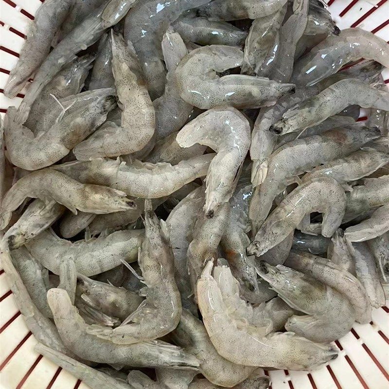 龍魚虎魚喂什么是好：如何正確飼養(yǎng)龍魚和虎魚 龍魚百科 第3張