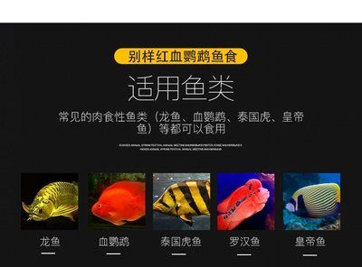 龍魚虎魚喂什么是好：如何正確飼養(yǎng)龍魚和虎魚 龍魚百科 第4張