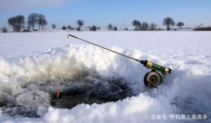 龍魚買回來就死了正常嗎：龍魚買回來后死亡可能由幾個原因?qū)е?，龍魚買回來就死了 水族問答 第2張