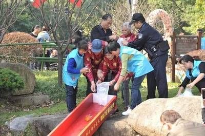 龍魚買賣平臺有哪些好：龍魚買賣平臺是否值得考慮的選擇，龍魚買賣平臺安全措施 水族問答 第2張