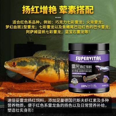 雷龍魚魚食那品牌好：雷龍魚食品牌推薦 龍魚百科 第5張