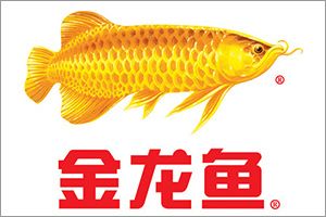 金龍魚天津總代理在哪里：金龍魚在天津地區(qū)的總代理信息 龍魚百科 第2張