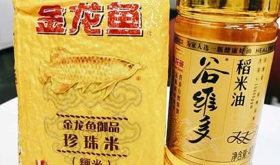 金龍魚天津總代理在哪里：金龍魚在天津地區(qū)的總代理信息 龍魚百科 第3張