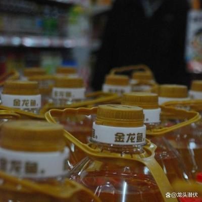 金龍魚分析討論：金龍魚市場競爭力分析 龍魚百科 第3張