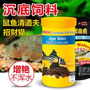 招財(cái)貓魚營(yíng)養(yǎng)均衡食譜：招財(cái)貓魚自制飼料食譜