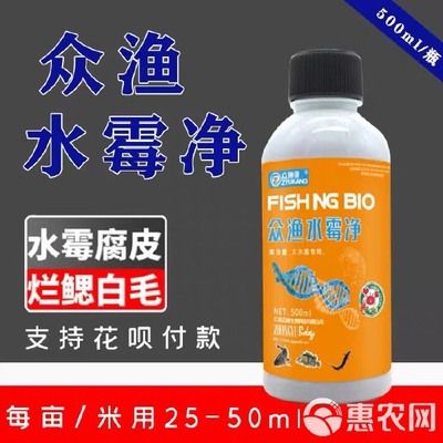 龍魚蒙眼用什么鹽消毒殺菌：龍魚蒙眼怎么辦？ 水族問(wèn)答 第1張