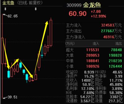 金龍魚 股價：12月10日金龍魚股價上漲1.60% 龍魚百科 第4張