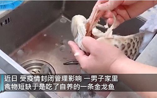 金龍魚(yú)的味道怎么樣好聞嗎：金龍魚(yú)產(chǎn)品健康成分解析 龍魚(yú)百科 第1張